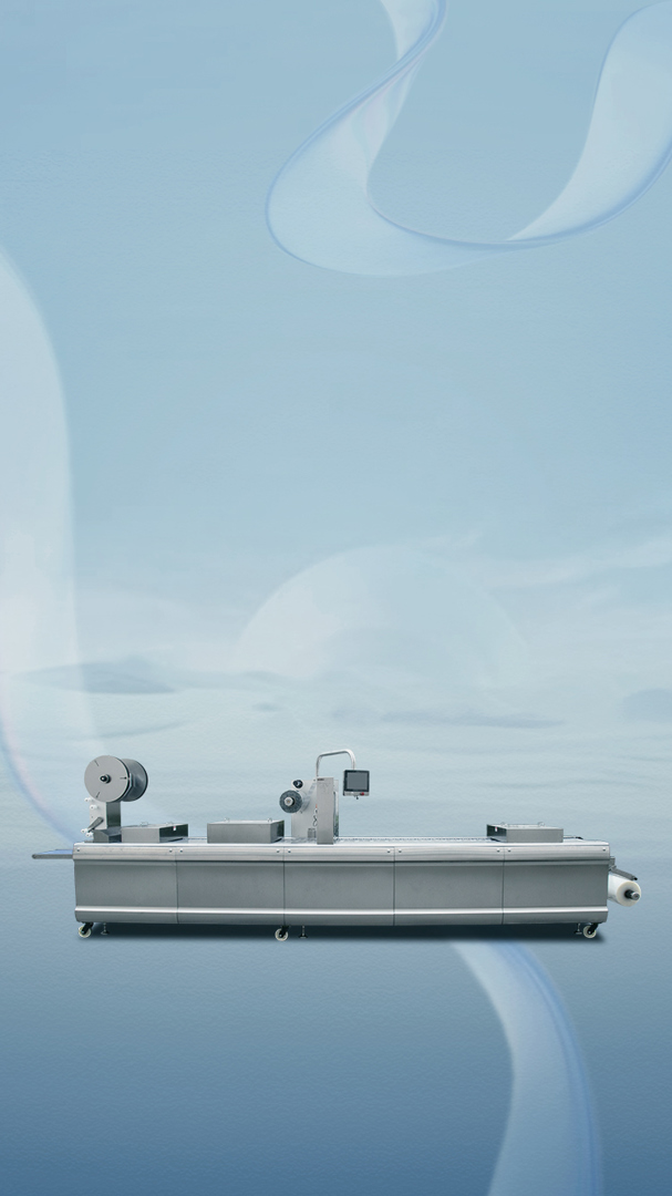 <span>since 1994</span>�ƵZ����